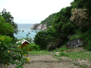 Graffiti Bombing - Photo by HOYA - feel, koh, tao