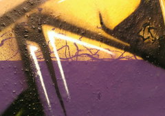 Photo #175832 by Belt