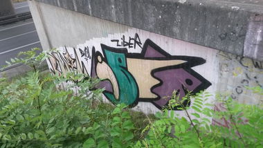 Graffiti Bombing - Photo by HaCksau - bwol, liber