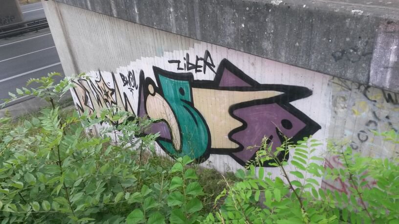 Graffiti Bombing - Photo by HaCksau - bwol, liber