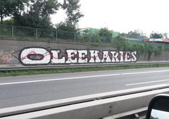 Photo #108423 by MENO