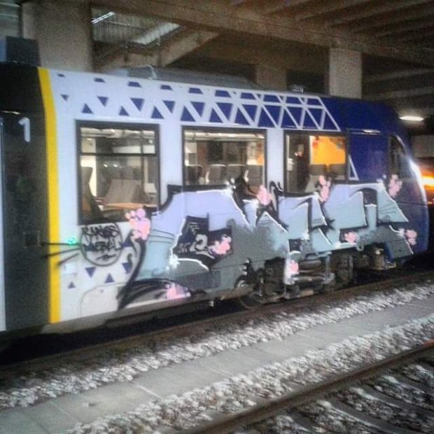 Graffiti Train - Photo by HaCksau - olee