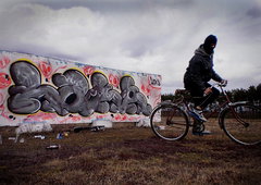 Photo #31313 by Rois