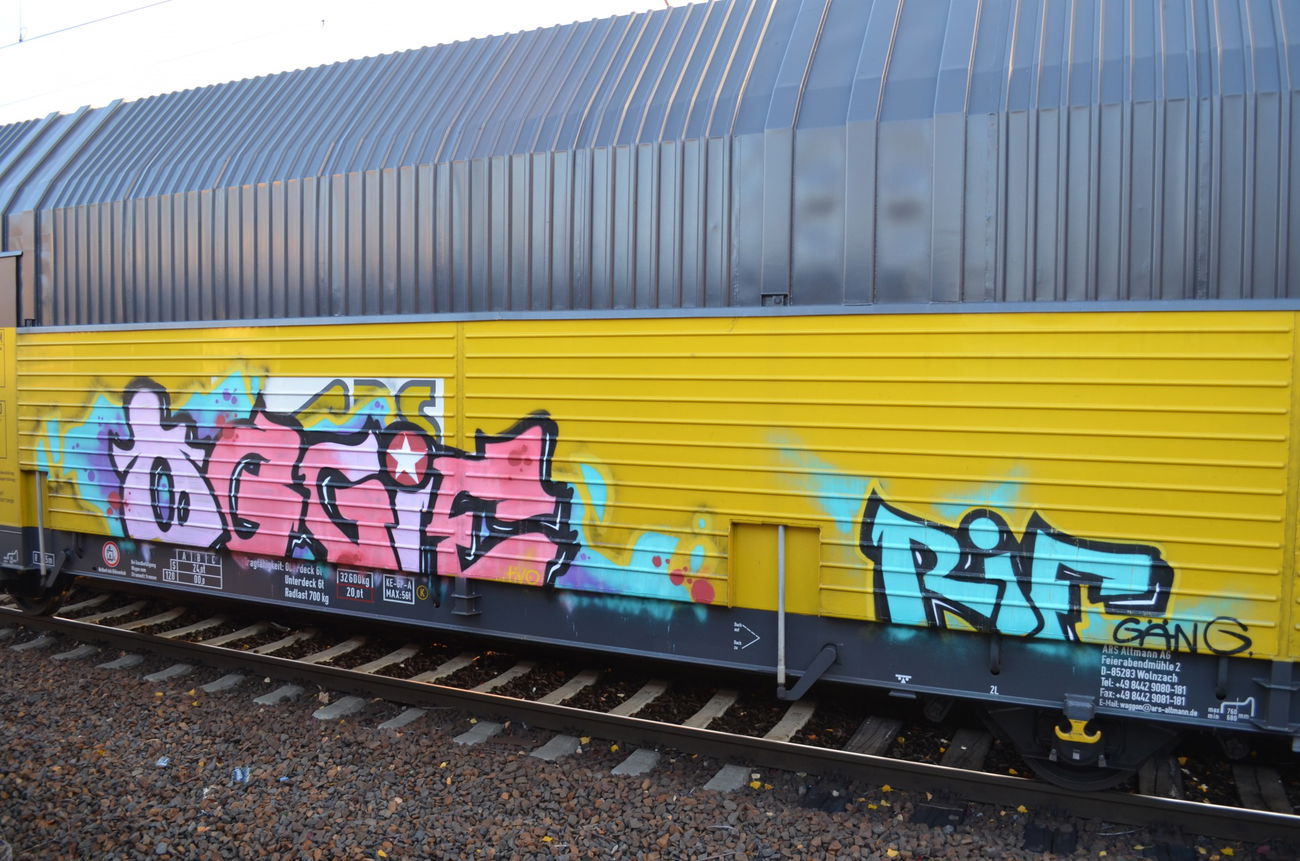 Graffiti Train - Photo by Hall3rOT - OGGIE, RIF, GANG