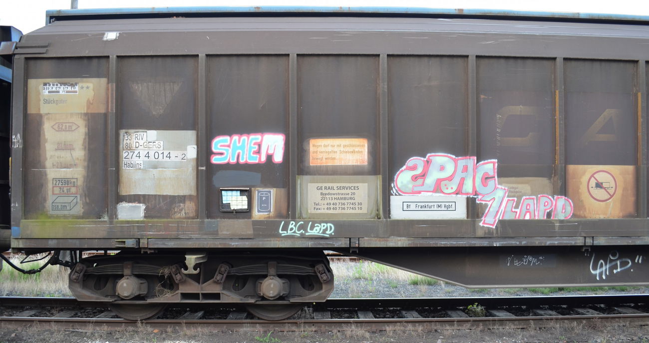 Graffiti Train - Photo by Hall3rOT - SHEM, 2PAC, LAPD