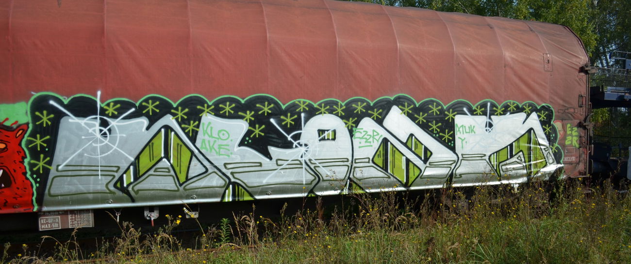 Graffiti Train - Photo by Hall3rOT - KLOAK