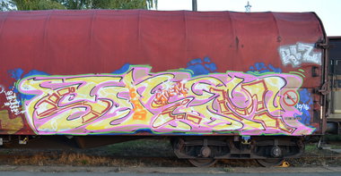 Graffiti Train - Photo by Hall3rOT - STEM (2016)