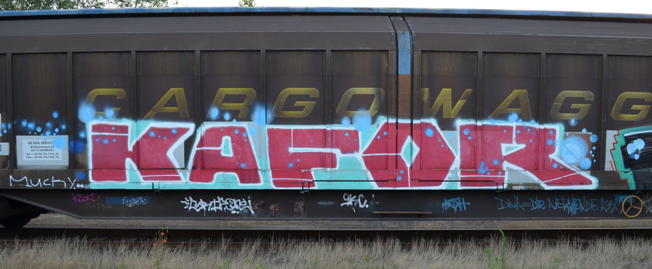 Graffiti Train - Photo by Hall3rOT - KAFOR