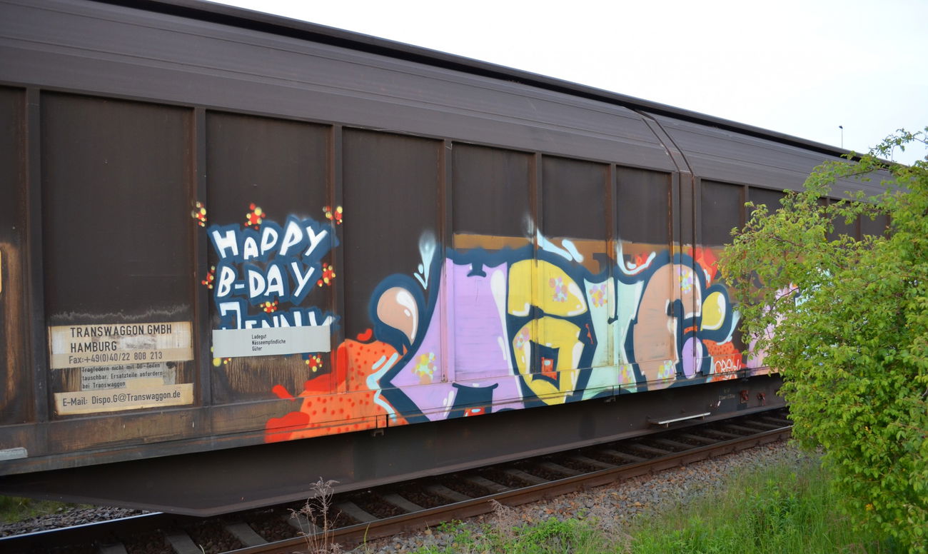 Graffiti Train - Photo by Hall3rOT - HAYF