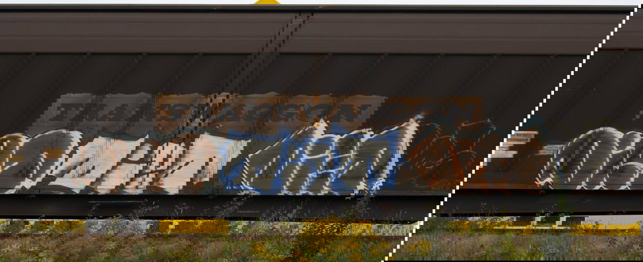 Graffiti Train - Photo by Hall3rOT - DIET