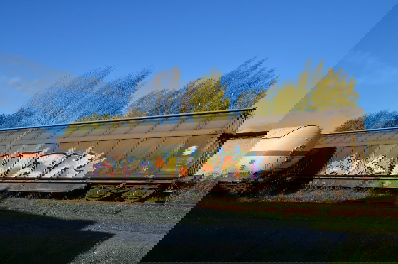 Graffiti Train - Photo by Hall3rOT - YOUR, ULPH