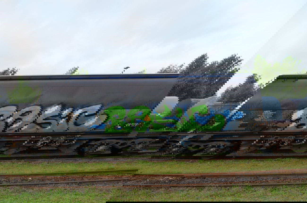 Graffiti Train - Photo by Hall3rOT - BASIC