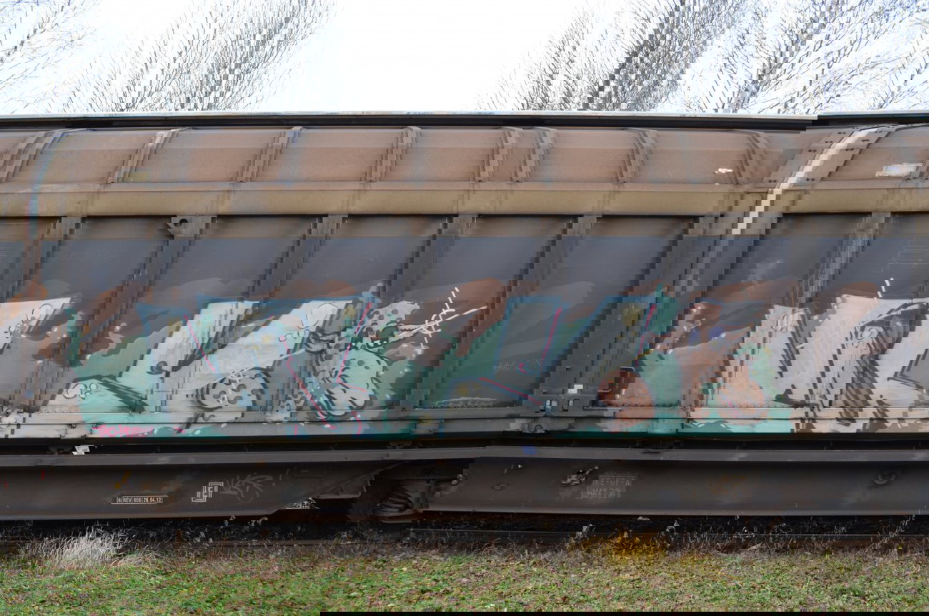 Graffiti Train - Photo by Hall3rOT - CARS, TRO, MOFO