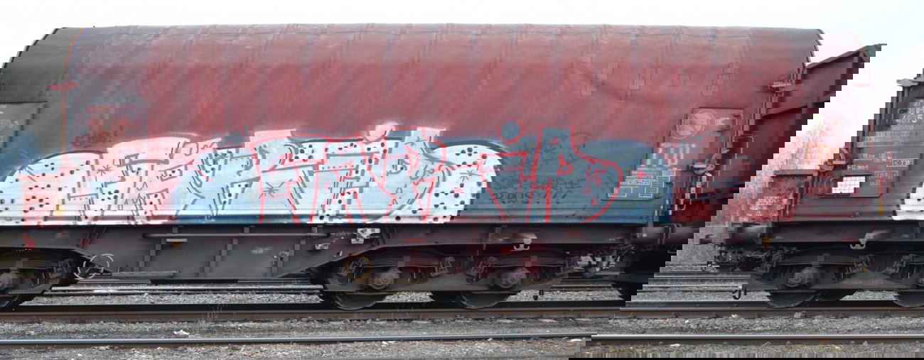 Graffiti Train - Photo by Hall3rOT - FARID, SHB