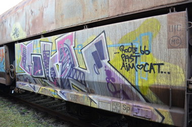 Graffiti Train - Photo by Hall3rOT - YOUR, 86, ROUTE