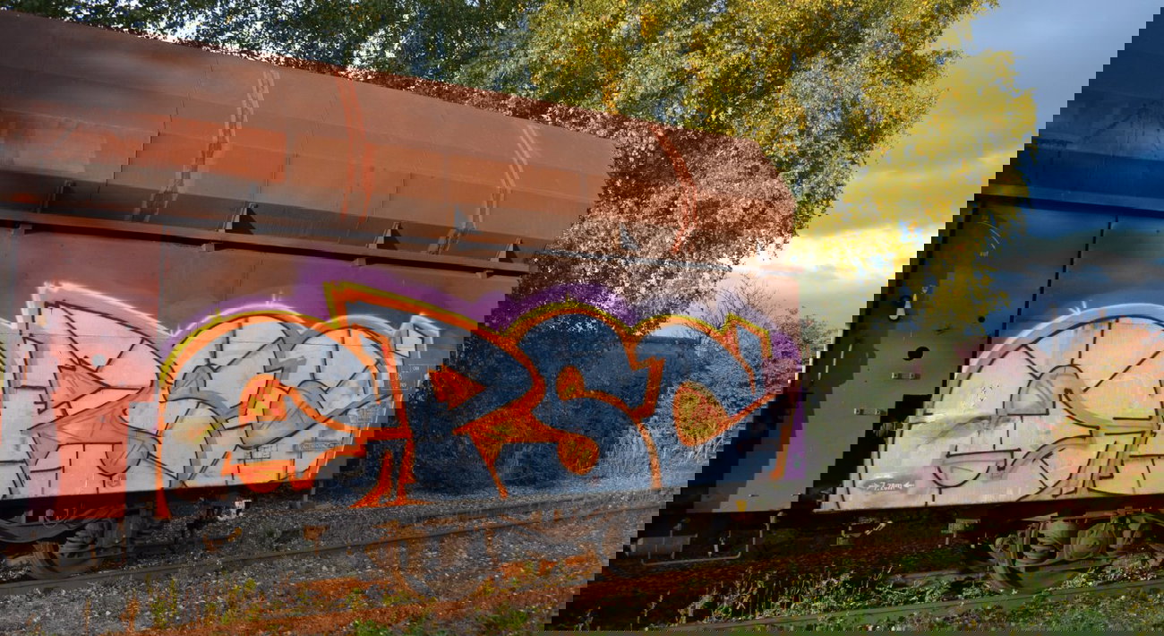 Graffiti Train - Photo by Hall3rOT - EPSC