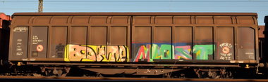 Graffiti Train - Photo by Hall3rOT - BARTO, LOST, FR8D (2012)