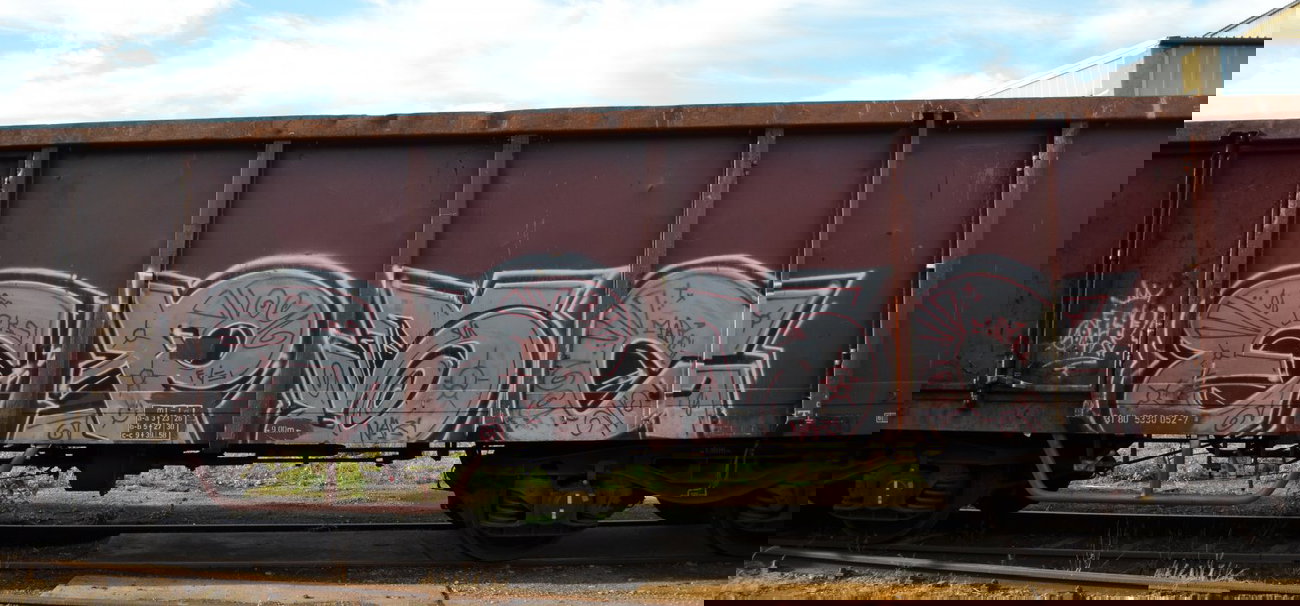 Graffiti Train - Photo by Hall3rOT - EPSC