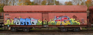 Graffiti Train - Photo by Hall3rOT - SERO, IG, CREW (2013)