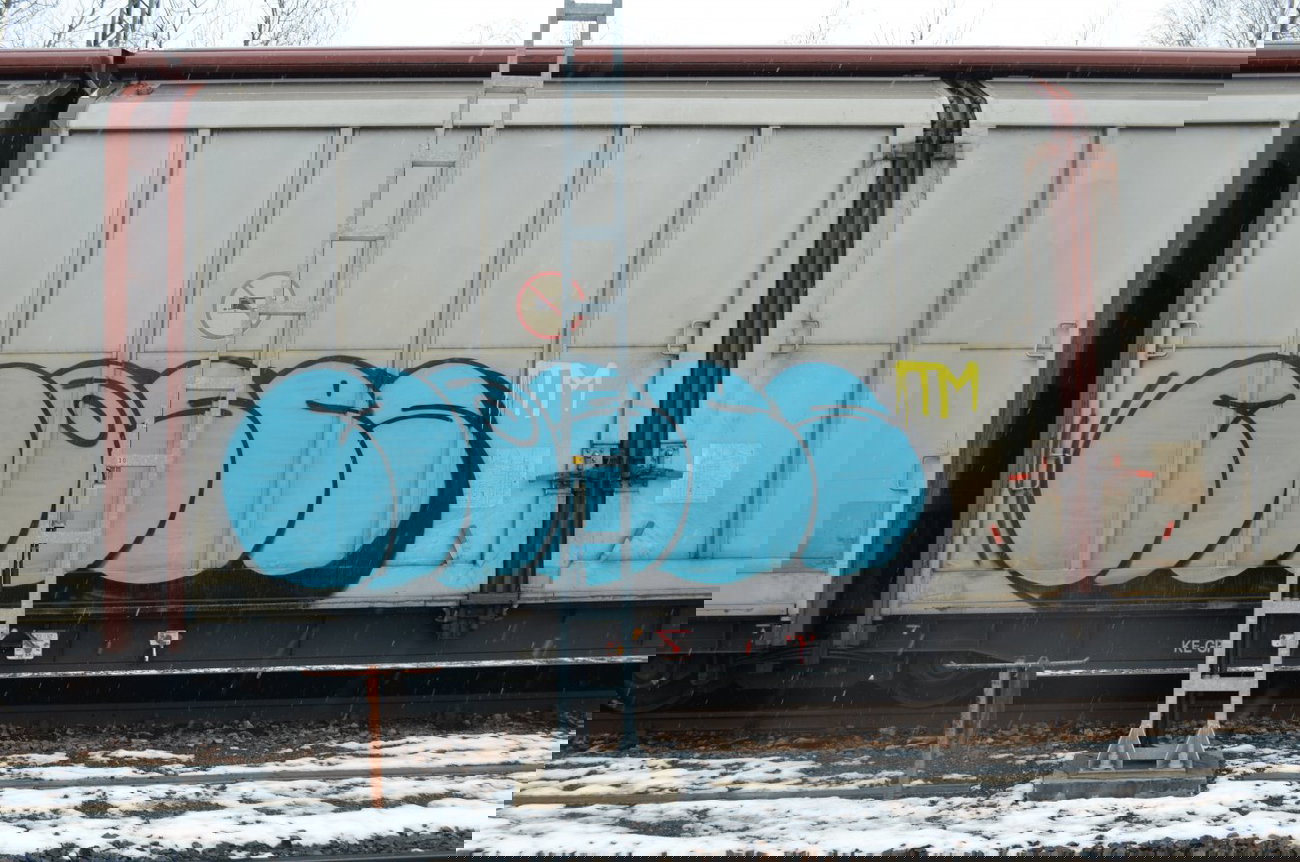Graffiti Train - Photo by Hall3rOT - MOSES