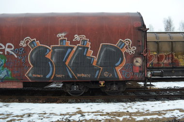 Graffiti Train - Photo by Hall3rOT (2009)