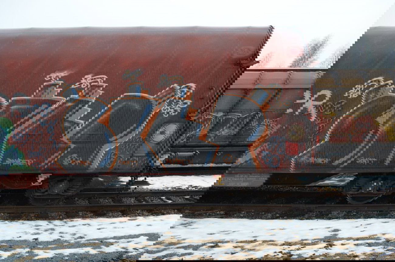 Graffiti Train - Photo by Hall3rOT (2009)