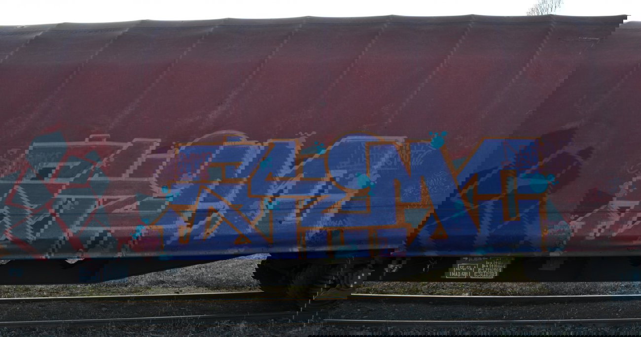 Graffiti Train - Photo by Hall3rOT - SHIMO (2010)