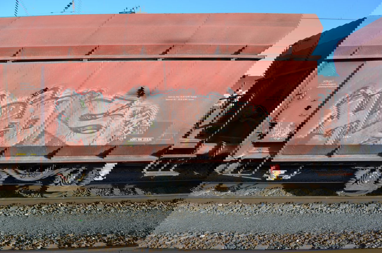 Graffiti Train - Photo by Hall3rOT - HOBOS, CREW, FR8