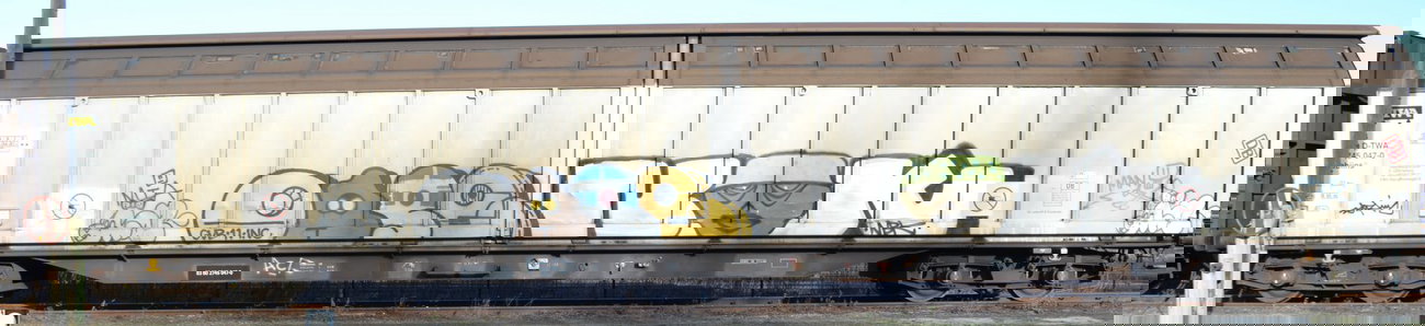 Graffiti Train - Photo by Hall3rOT - OASE, GVB, INC
