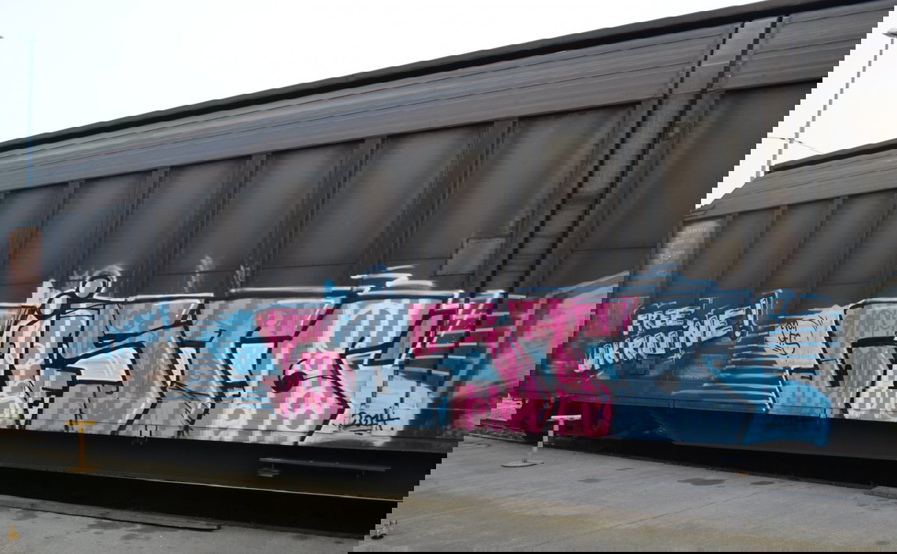 Graffiti Train - Photo by Hall3rOT - FREE, UKRAINE, ÜFS (2014)