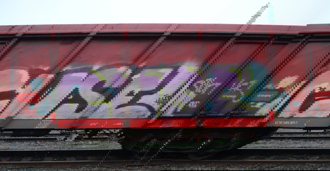 Graffiti Train - Photo by Hall3rOT - CUSE (2013)