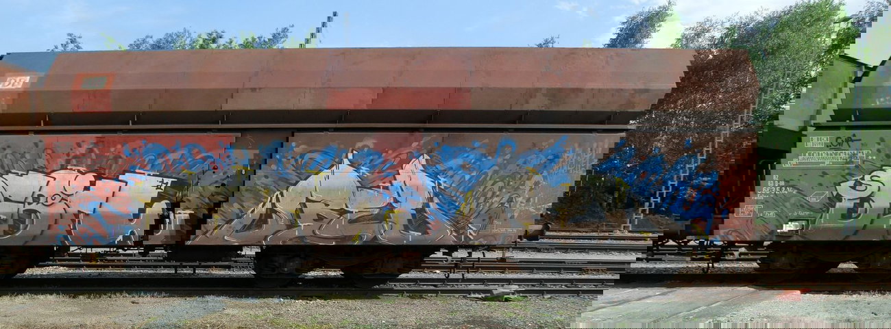 Graffiti Train - Photo by Hall3rOT - DEBIL, ÜBEL (2011)