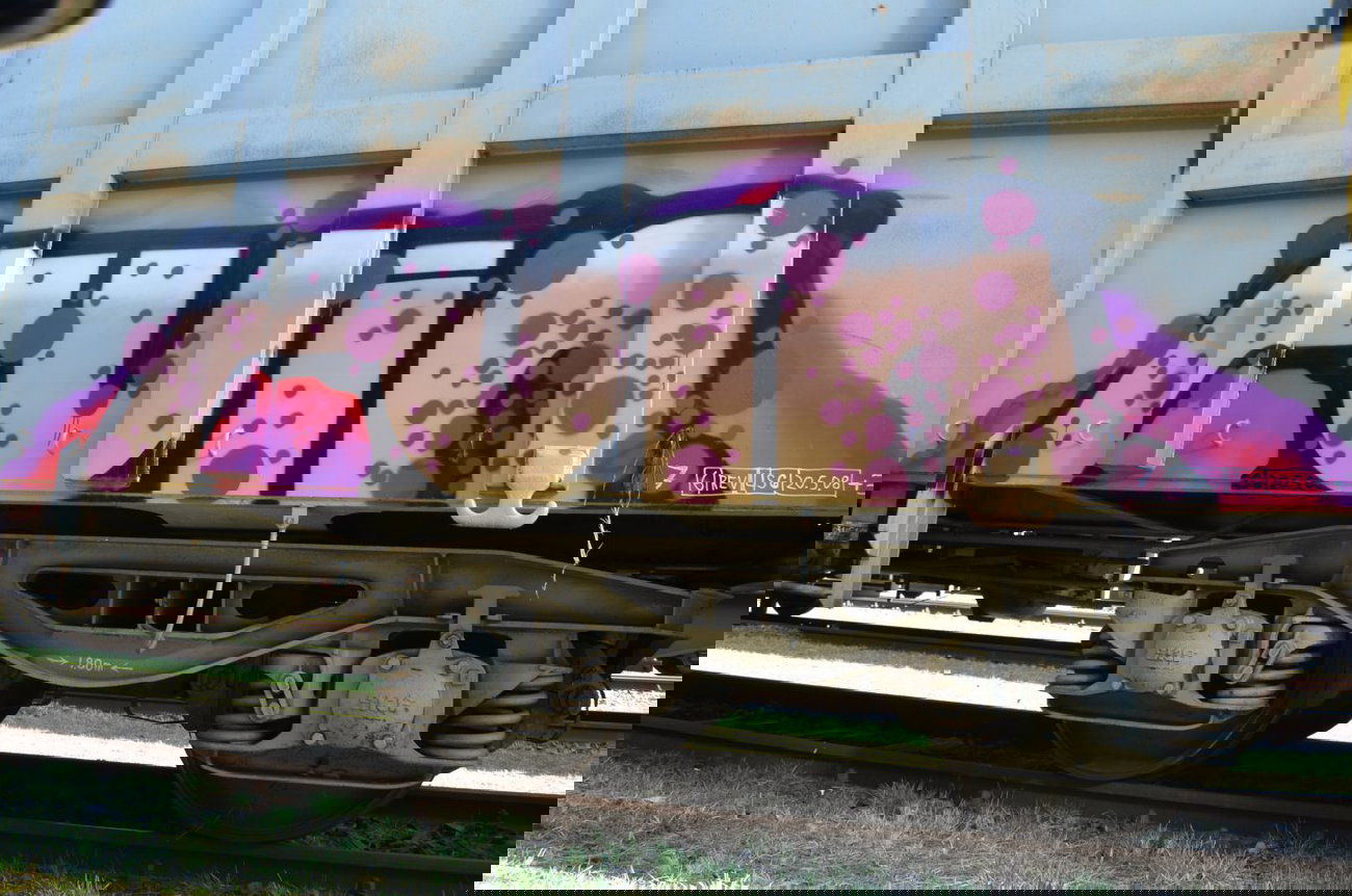 Graffiti Train - Photo by Hall3rOT - RUIN