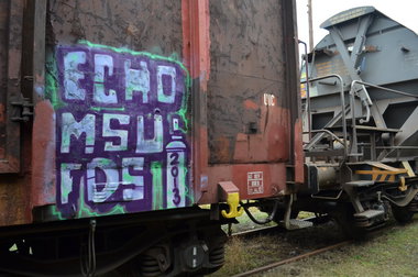 Graffiti Train - Photo by Hall3rOT - ECHO, MSU, FDS (2013)
