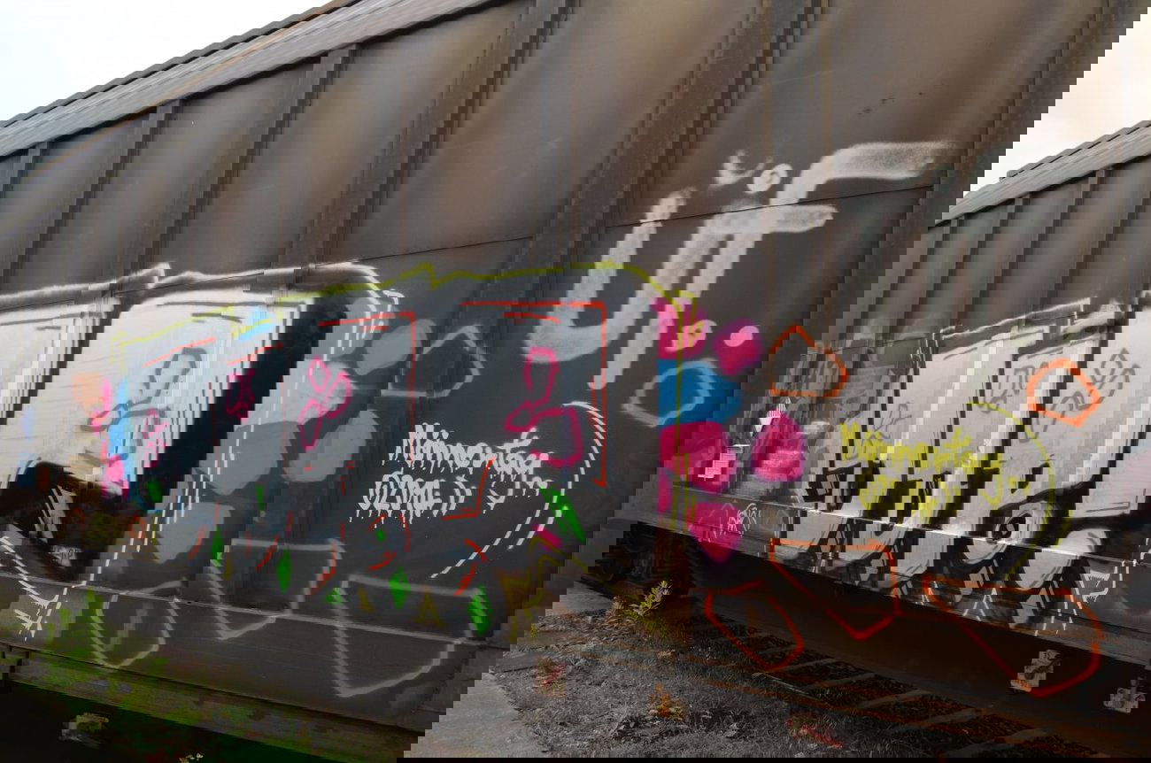 Graffiti Train - Photo by Hall3rOT - DDR, ÜF (2014)