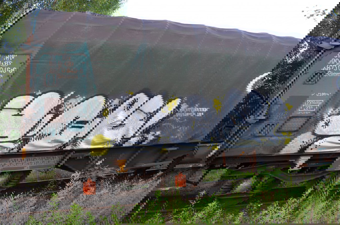 Graffiti Train - Photo by Hall3rOT - YOU