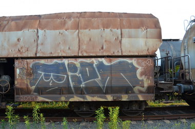 Graffiti Train - Photo by Hall3rOT - DIET, RCS (2011)