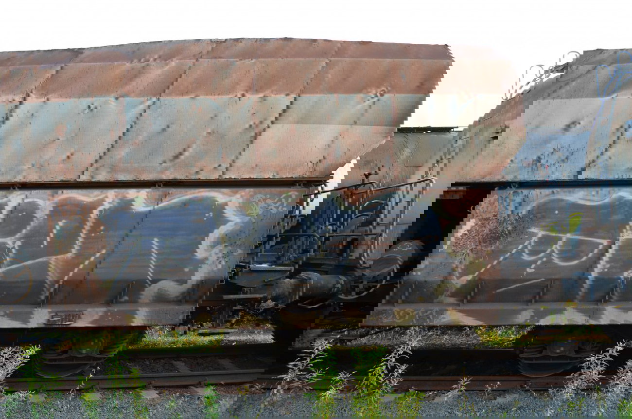 Graffiti Train - Photo by Hall3rOT - DIET, RCS (2011)