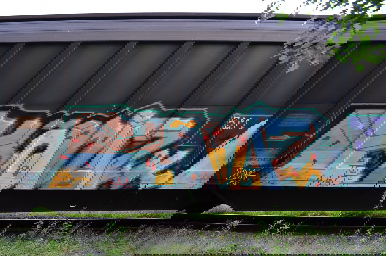 Graffiti Train - Photo by Hall3rOT - KANIZ, SM, 1+1=1 (2014)