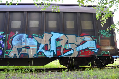 Graffiti Train - Photo by Hall3rOT - STAY, UPS, GÜTER
