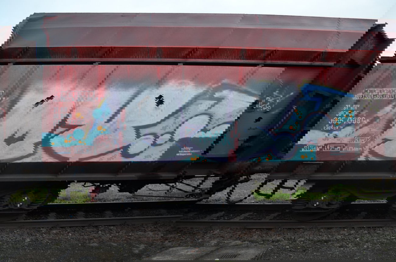 Graffiti Train - Photo by Hall3rOT - MY