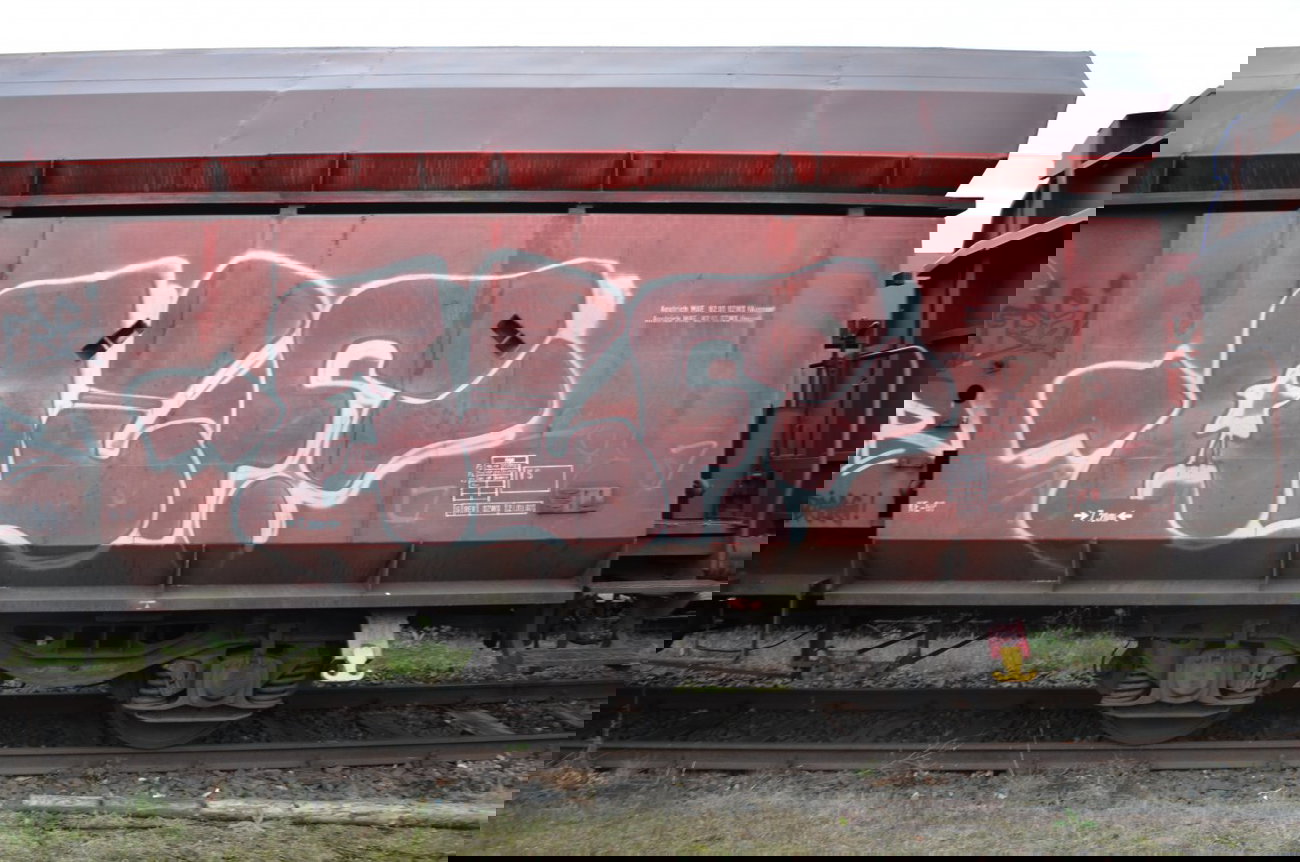 Graffiti Train - Photo by Hall3rOT - ALF