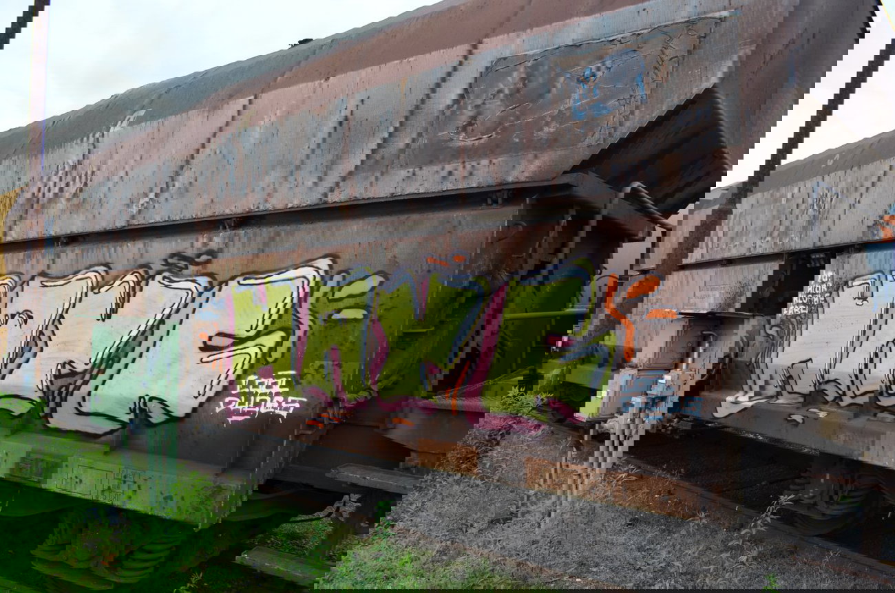 Graffiti Train - Photo by Hall3rOT - HAYF, COOL, DUDES