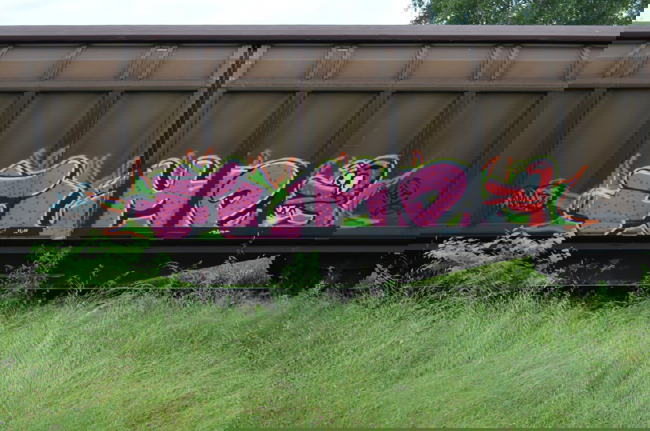 Graffiti Train - Photo by Hall3rOT - FUME