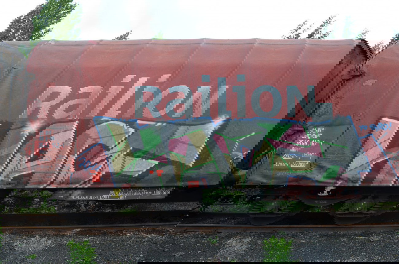 Graffiti Train - Photo by Hall3rOT - HACF (2011)