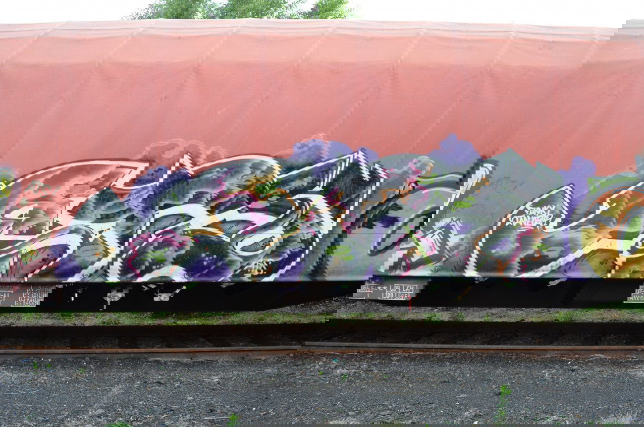 Graffiti Train - Photo by Hall3rOT - ATS, FUNKY, &