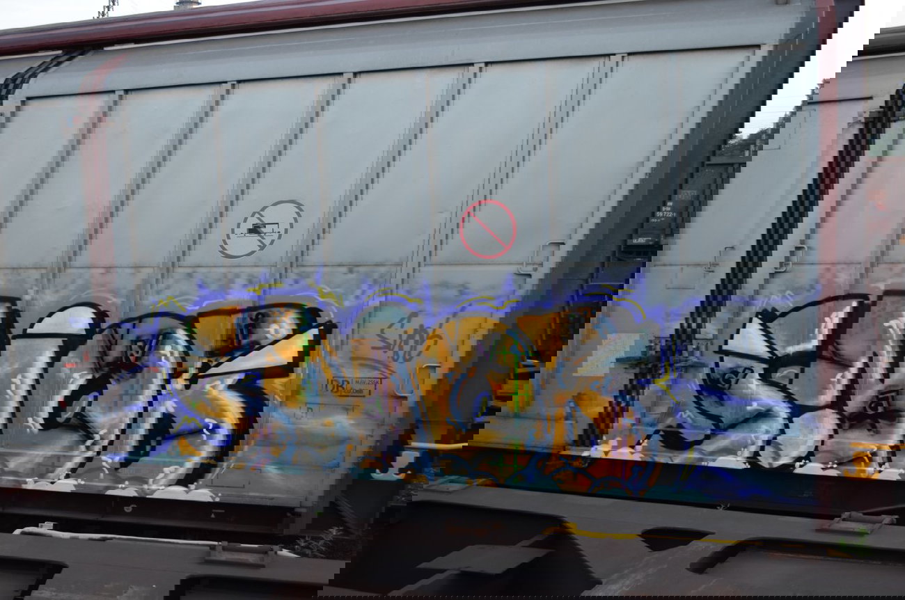 Graffiti Train - Photo by Hall3rOT - SNOB, DANI