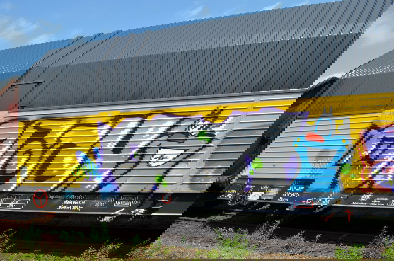 Graffiti Train - Photo by Hall3rOT - OGGY