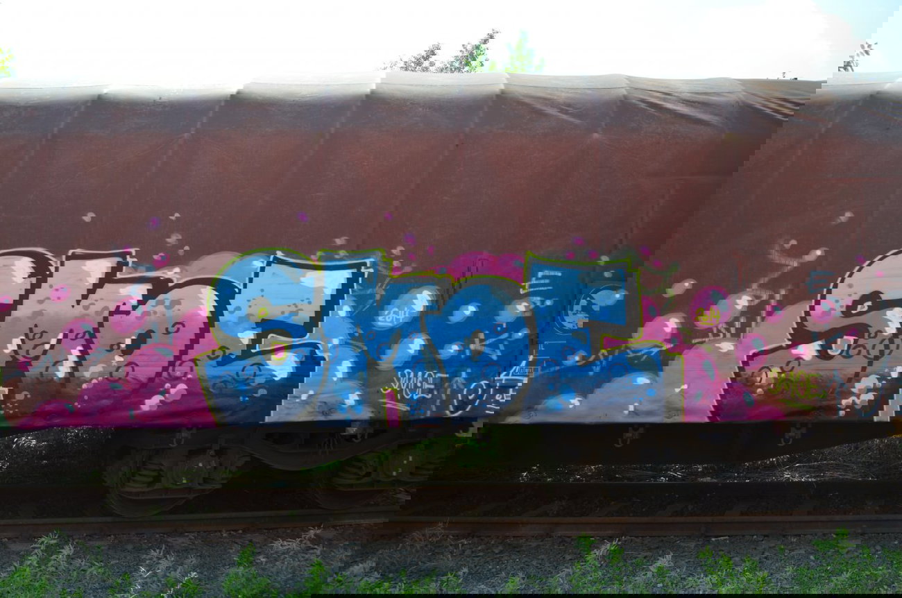 Graffiti Train - Photo by Hall3rOT - SMOE (2014)