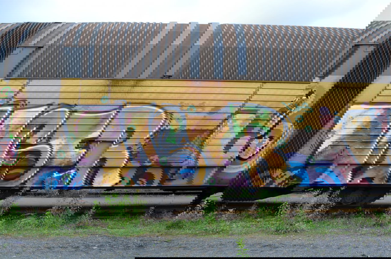 Graffiti Train - Photo by Hall3rOT - TASER, ÜF.S